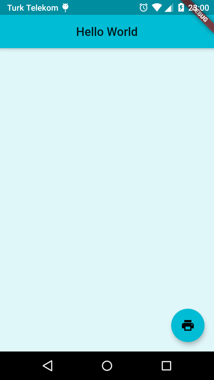 Flutter Merhaba Dünya